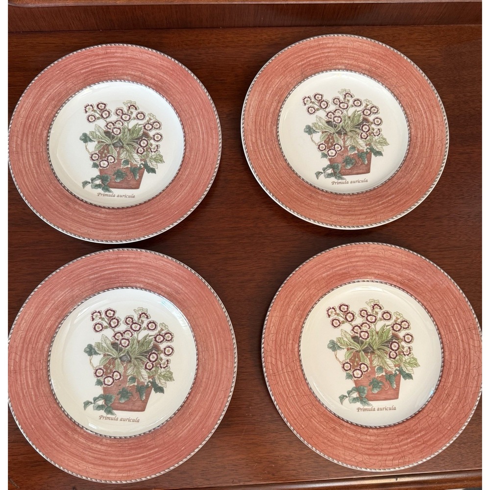Wedgwood Sarah's Garden Salad Plates Set Of 4 ~Terracotta  Red Vintage Flowers